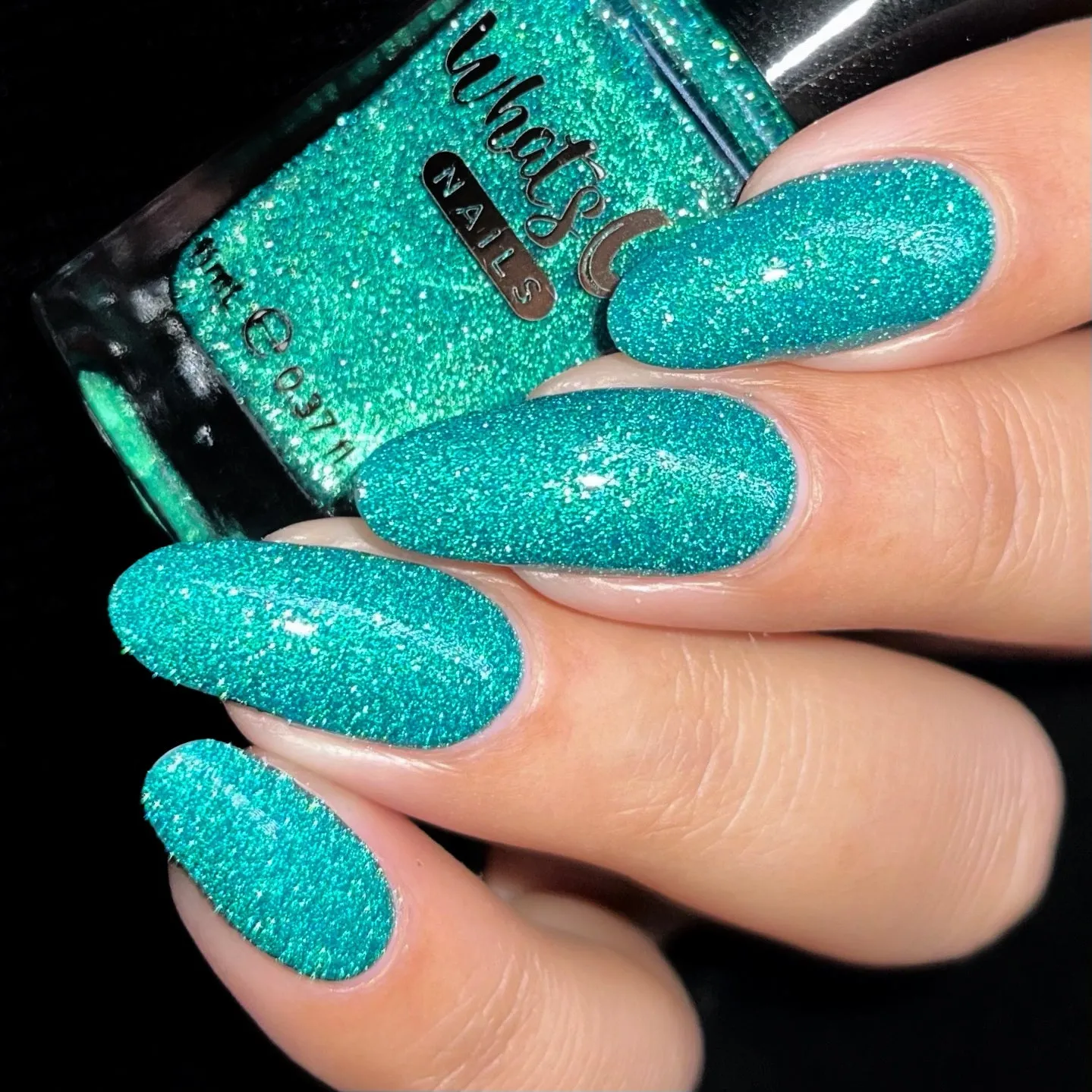 Whats Up Nails - Too Cold for School Collection (6 Nail Polishes)