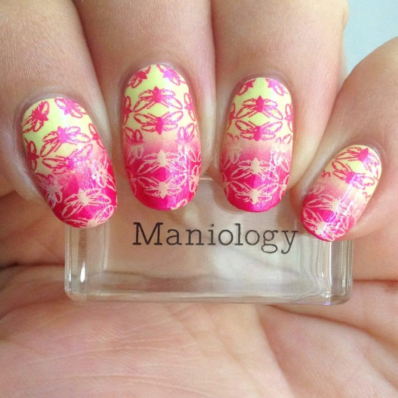 Wild Wings (B294) - Hot Pink Duochrome Stamping Polish